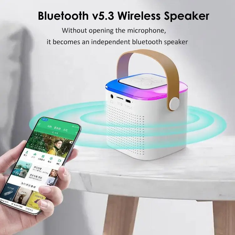 Mini Karaoke Machine Y1 | Bluetooth Speaker with 2 Wireless Mics