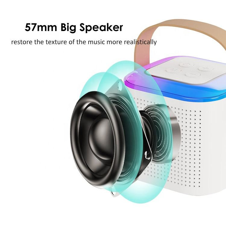 Mini Karaoke Machine Y1 | Bluetooth Speaker with 2 Wireless Mics