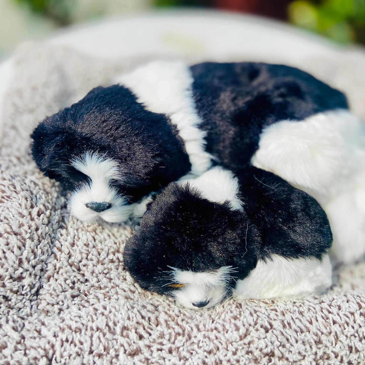 NestyFox Realistic Cute Sleeping Cat Plush Toy with Meow Sound – Mother & Kitten Set, Gift for Kids, Home Decor & Car Dashboard Decoration (Style 1 Cat)