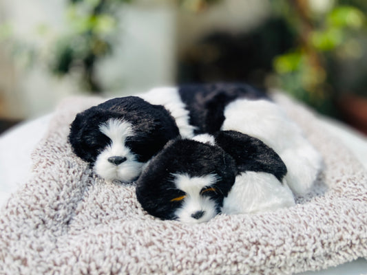 NestyFox Realistic Sleeping Dog Plush Toy – Black & White Mother and Puppy Duo with Bed | Lifelike Look | Car Dashboard & Home Decor