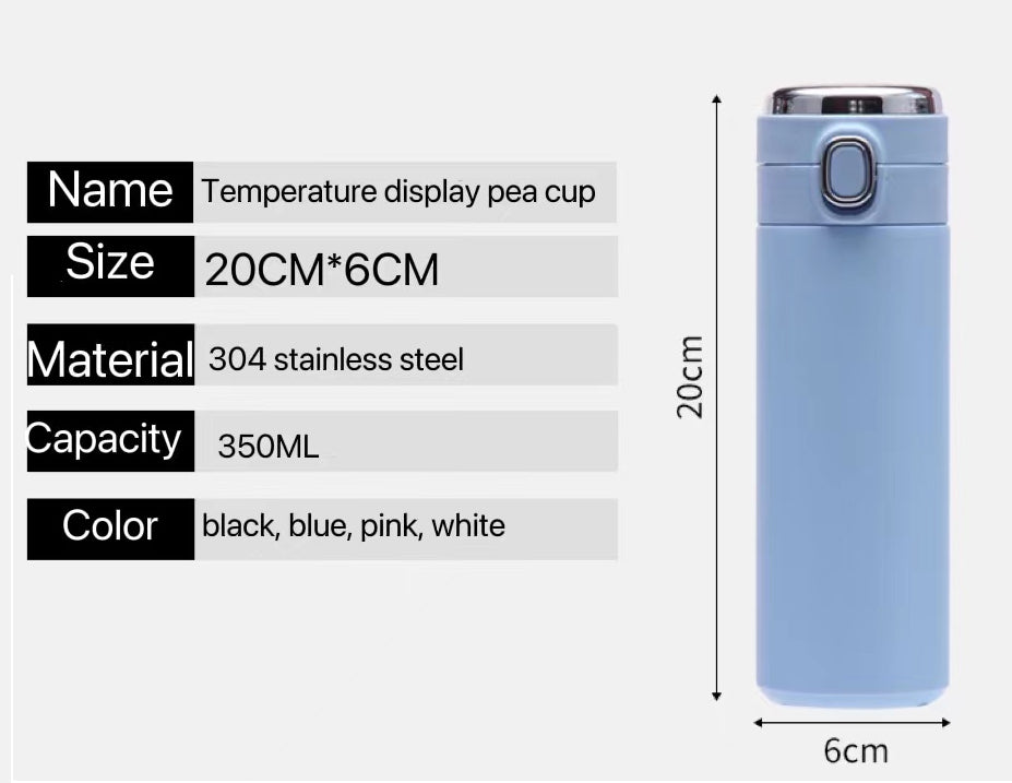 Temperature Water Bottle