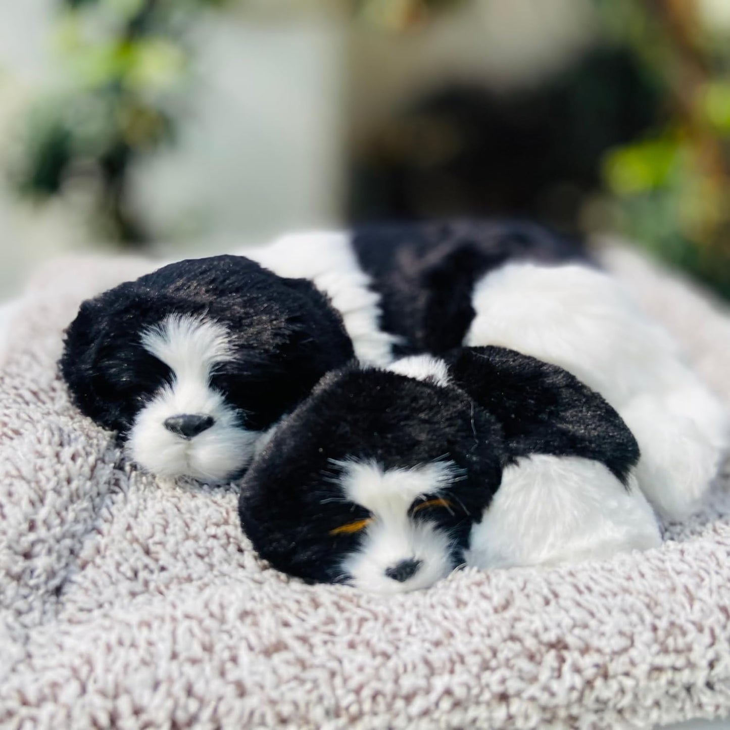 Realistic black and white sleeping dog plush toy with a mother and puppy cuddled together on a soft bed – perfect for home decor or car dashboard.

