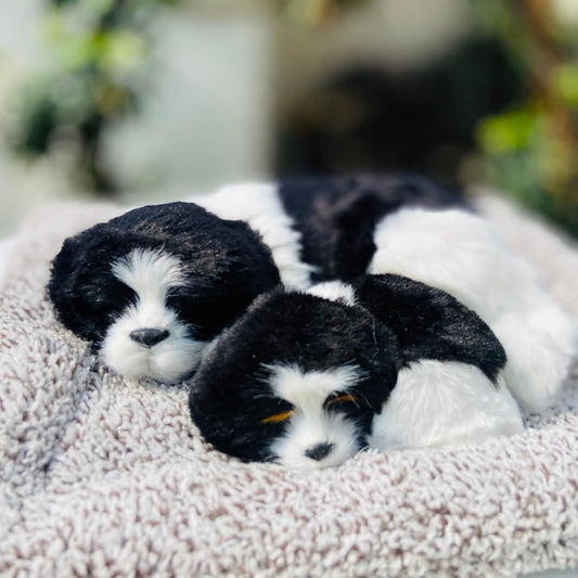 Realistic black and white sleeping dog plush toy with a mother and puppy cuddled together on a soft bed – perfect for home decor or car dashboard.

