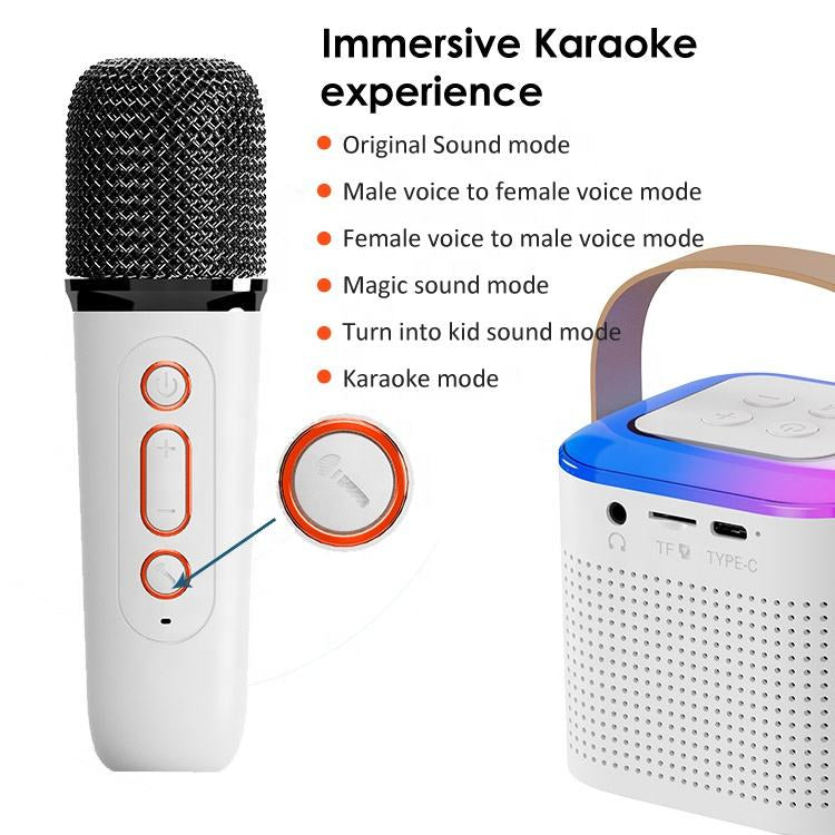 Mini Karaoke Machine Y1 | Bluetooth Speaker with 2 Wireless Mics